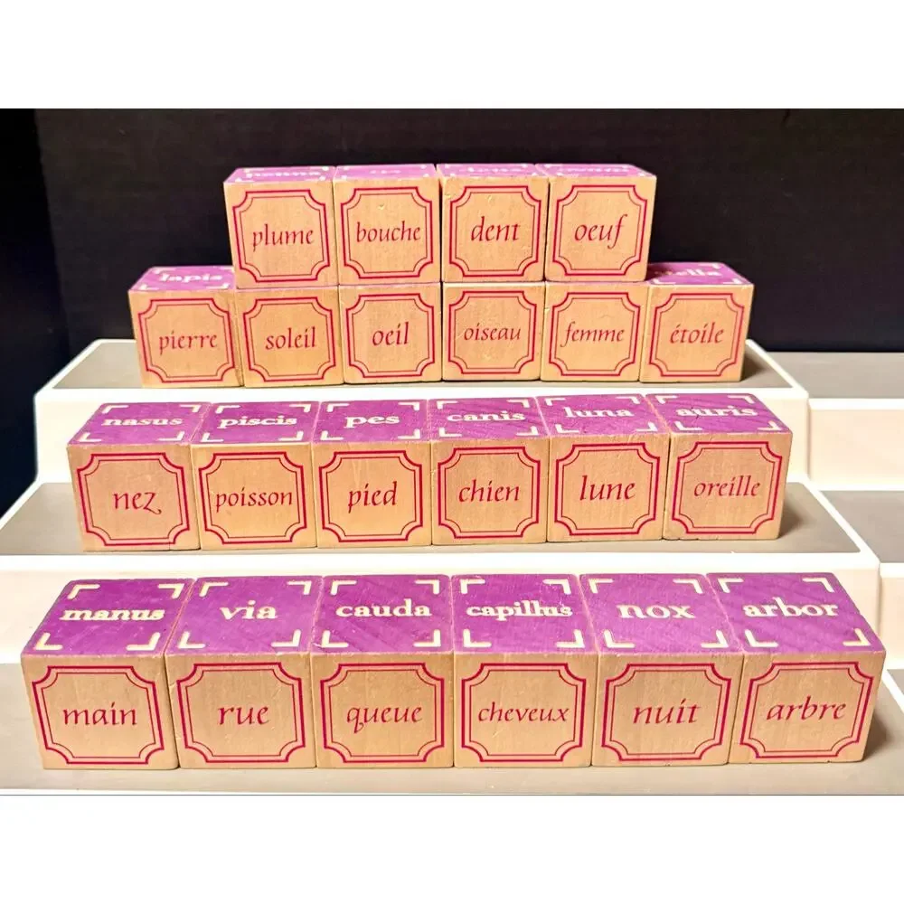 Uncle Goose Foreign Language blocks multilingual educational